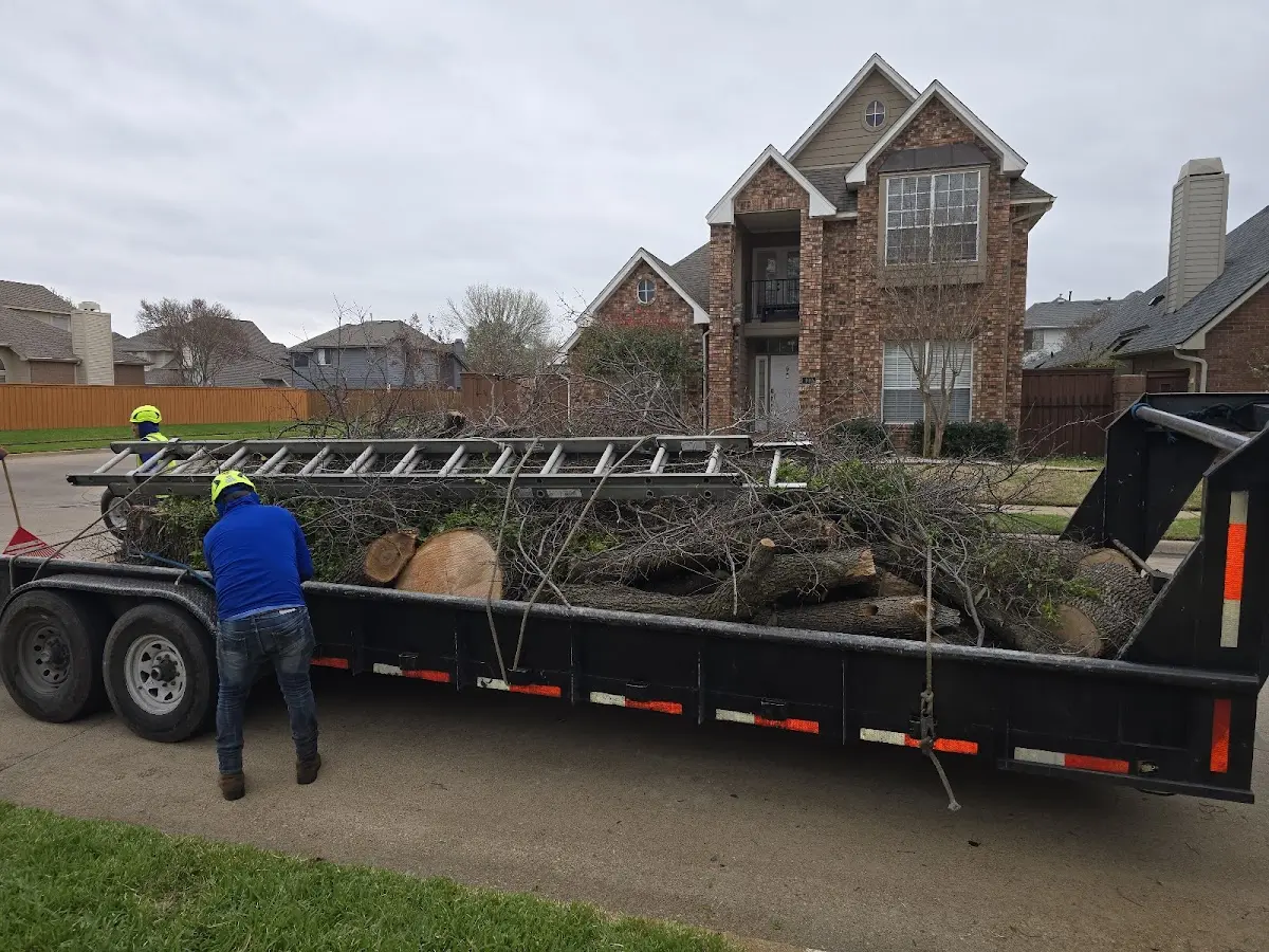 Expert Tree Fertilization with proper safety equipment in Mulkeytown